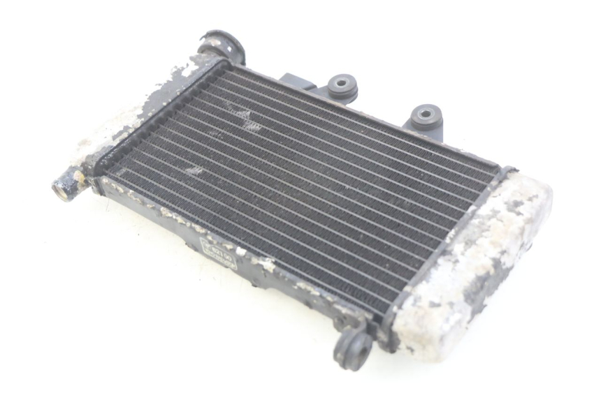 photo de RADIATORE HONDA VT C SHADOW 125 (1999 - 2007)