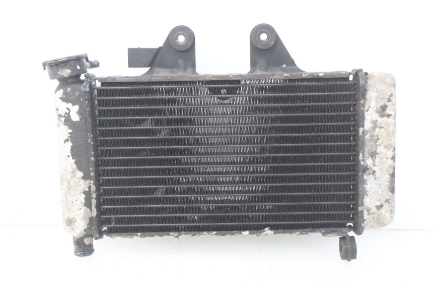 photo de RADIATORE HONDA VT C SHADOW 125 (1999 - 2007)