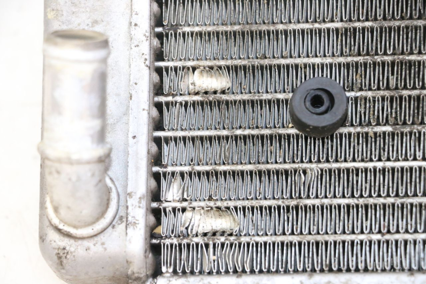 photo de RADIATORE YAMAHA X-CITY XCITY 125 (2007 - 2008)