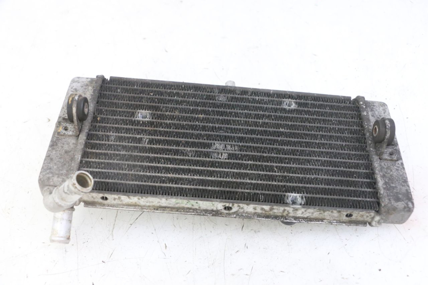 photo de RADIATORE YAMAHA X-MAX XMAX 125 (2010 - 2014)