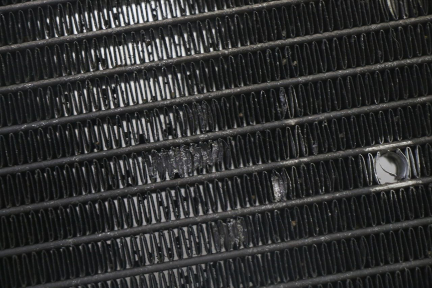 photo de RADIATORE YAMAHA X-MAX XMAX 125 (2010 - 2014)