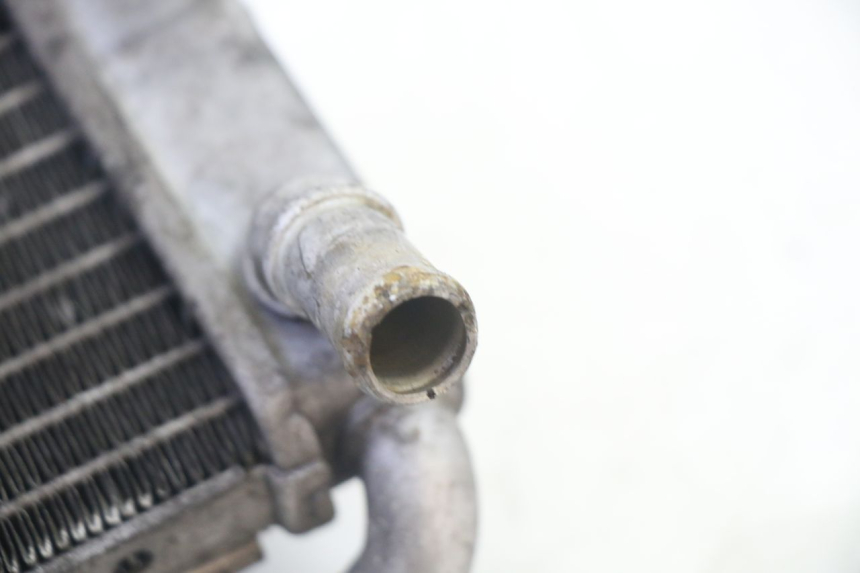 photo de RADIATORE YAMAHA X-MAX XMAX 125 (2010 - 2014)