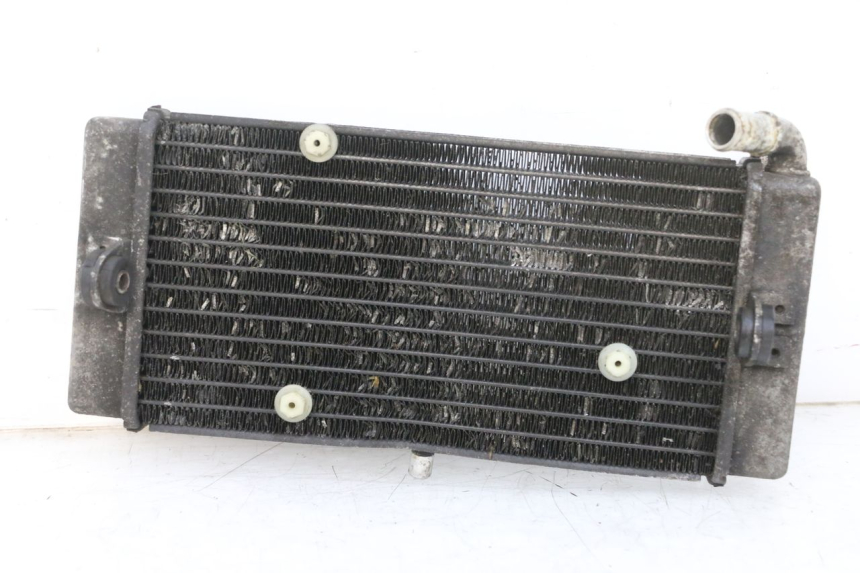 photo de RADIATORE YAMAHA X-MAX XMAX 125 (2010 - 2014) - Dettaglio del componente