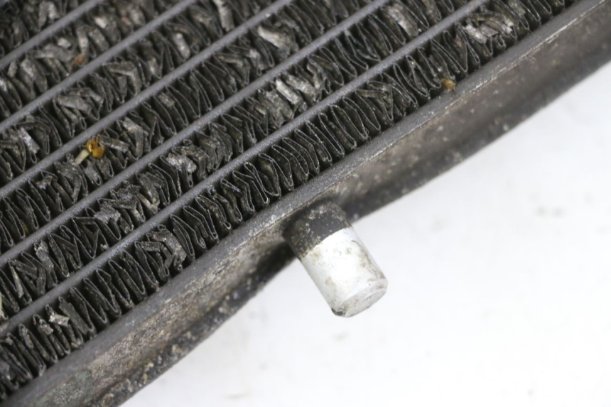 photo de RADIATORE YAMAHA X-MAX XMAX 125 (2010 - 2014) - Ricambio usato controllato