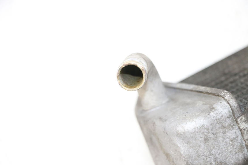 photo de RADIATORE YAMAHA XMAX X-MAX 125 (2006 - 2009) - Stato della superficie e materiale