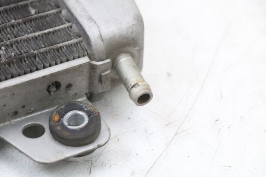photo de RADIATORE PIAGGIO X10 125 (2012 - 2017)
