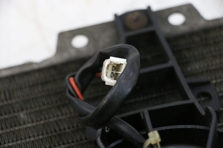 photo de RADIATORE PIAGGIO X8 125 (2004 - 2007) - Dettaglio del componente