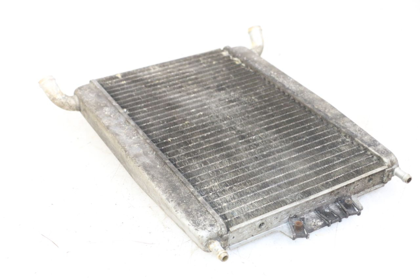 photo de RADIATORE PIAGGIO XEVO - X EVO 125 (2007 - 2016) - Dettaglio del componente