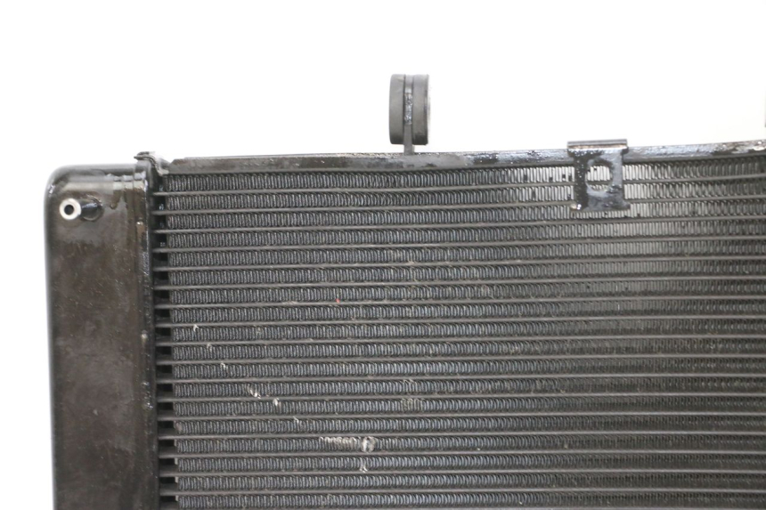 photo de RADIATORE YAMAHA XJ6 ABS 600 (2008 - 2016)