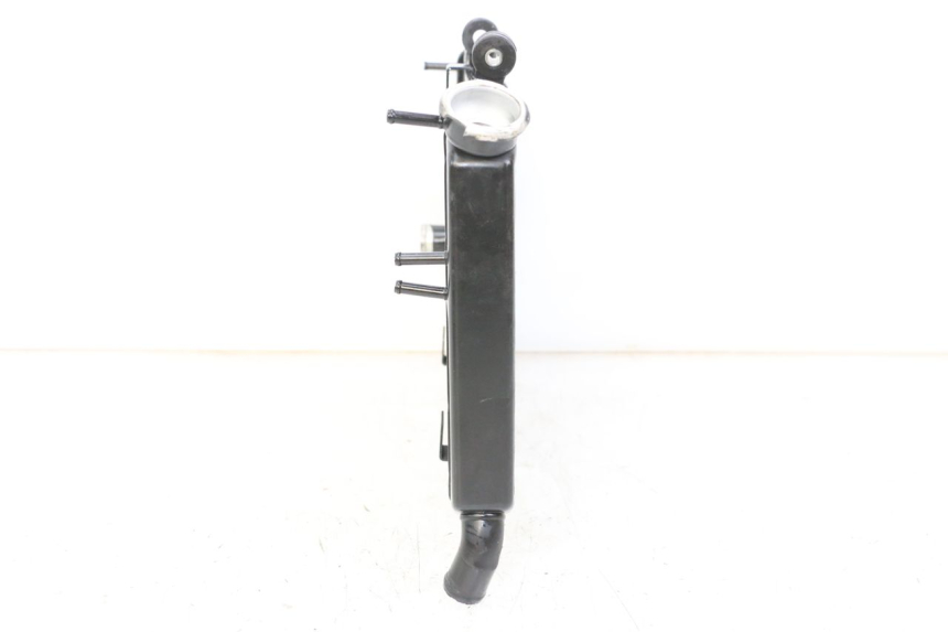 photo de RADIATORE YAMAHA XJ6 ABS 600 (2008 - 2016)