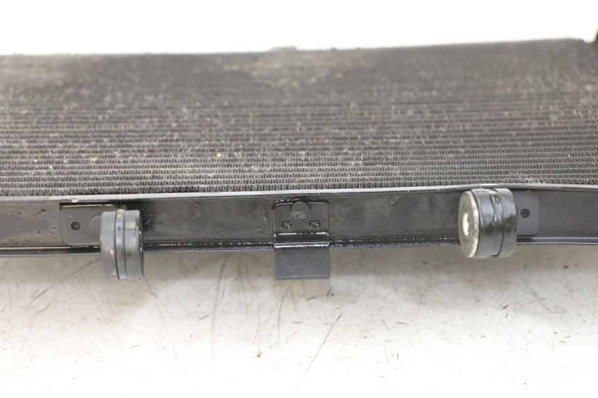 photo de RADIATORE YAMAHA XJ6 ABS 600 (2008 - 2016)