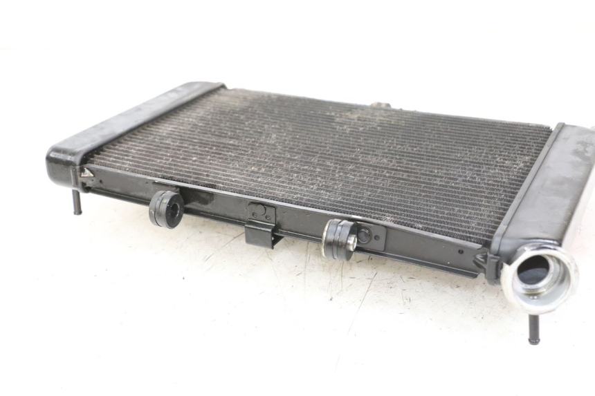 photo de RADIATORE YAMAHA XJ6 ABS 600 (2008 - 2016)