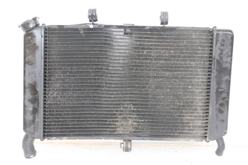 photo de RADIATORE YAMAHA XJ6 ABS 600 (2008 - 2016)