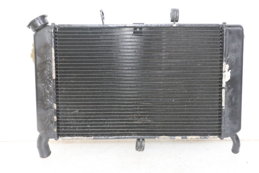 photo de RADIATORE YAMAHA XJ6 ABS 600 (2008 - 2016)
