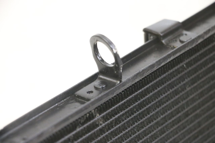 photo de RADIATORE YAMAHA XJ6 ABS 600 (2008 - 2016)
