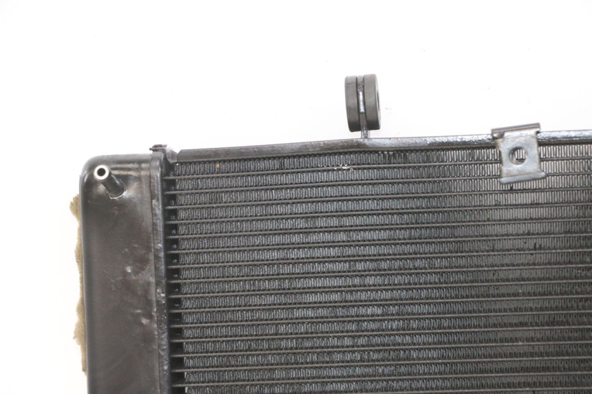 photo de RADIATORE YAMAHA XJ6 ABS 600 (2008 - 2016)