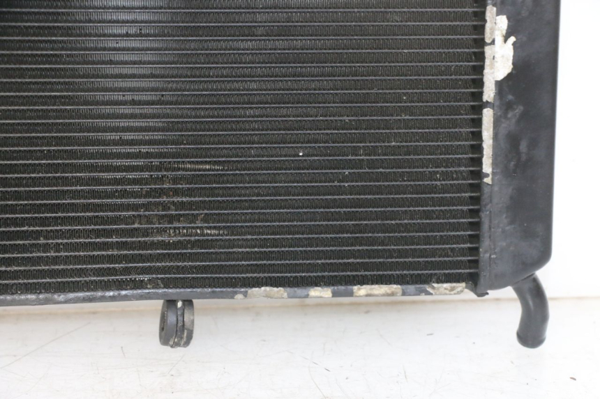 photo de RADIATORE YAMAHA XJ6 ABS 600 (2008 - 2016)