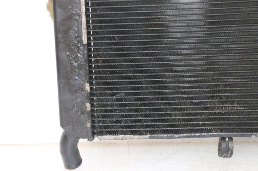 photo de RADIATORE YAMAHA XJ6 ABS 600 (2008 - 2016)