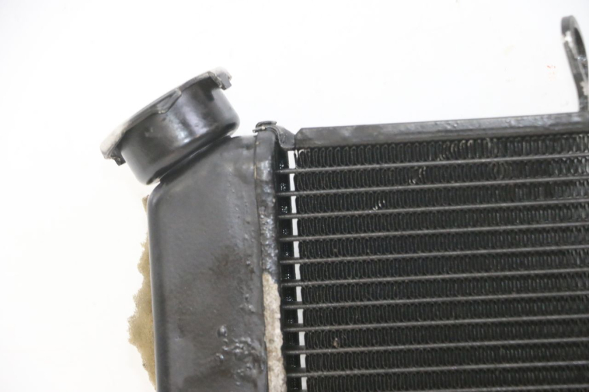 photo de RADIATORE YAMAHA XJ6 ABS 600 (2008 - 2016)