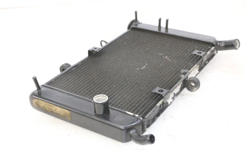 photo de RADIATORE YAMAHA XJ6 ABS 600 (2008 - 2016)
