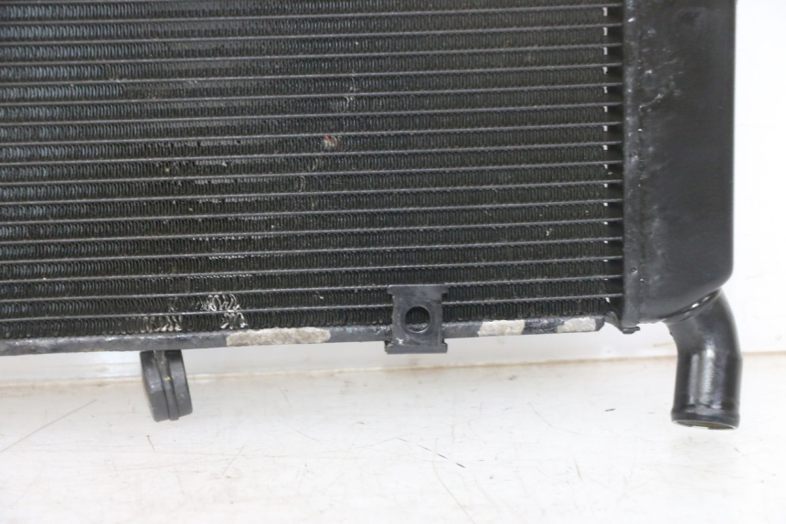 photo de RADIATORE YAMAHA XJ6 ABS 600 (2008 - 2016)