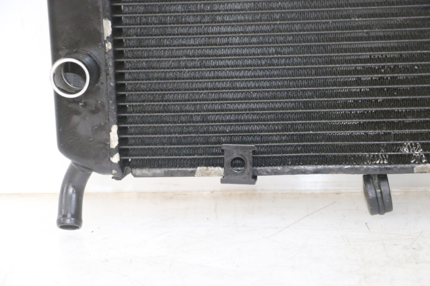 photo de RADIATORE YAMAHA XJ6 ABS 600 (2008 - 2016)