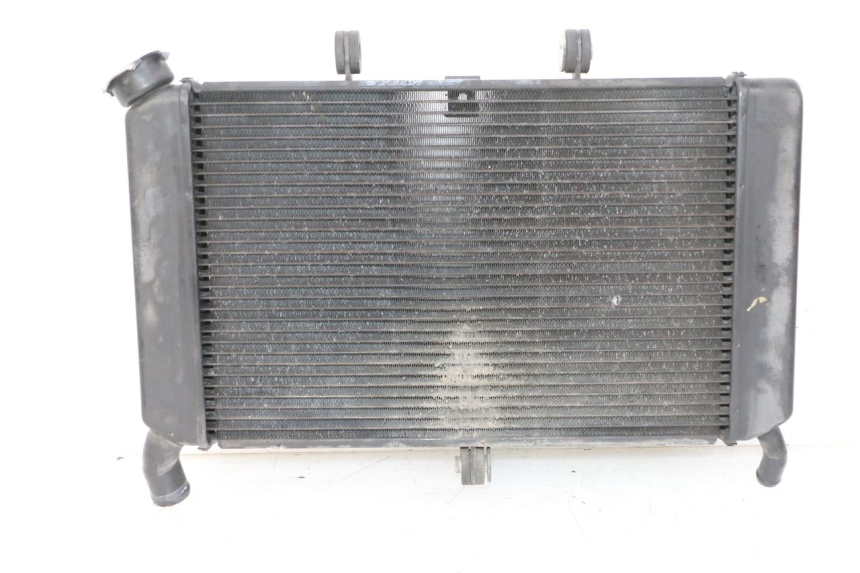 photo de RADIATORE YAMAHA XJ6 ABS 600 (2008 - 2016)