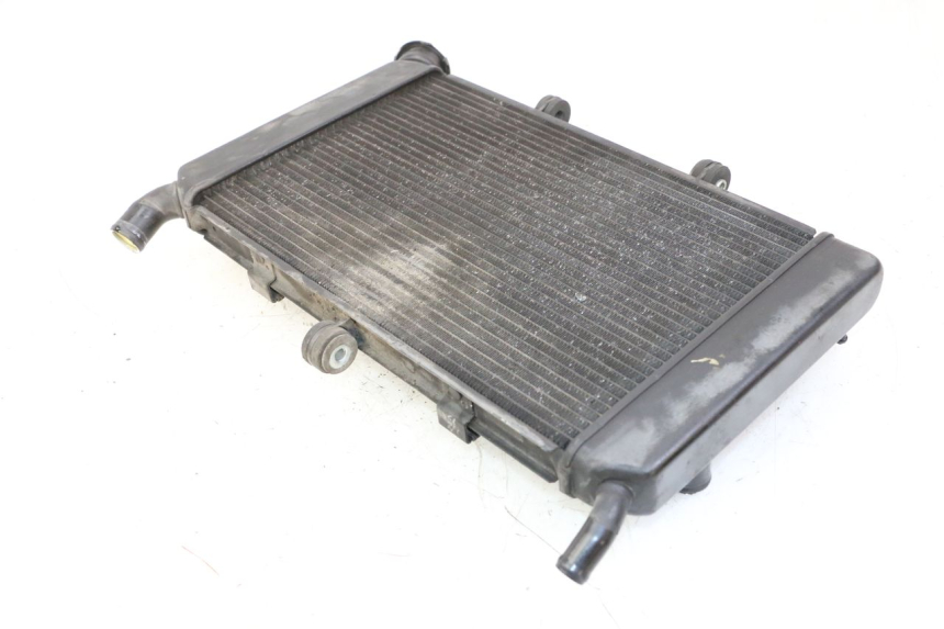 photo de RADIATORE YAMAHA XJ6 ABS 600 (2008 - 2016)