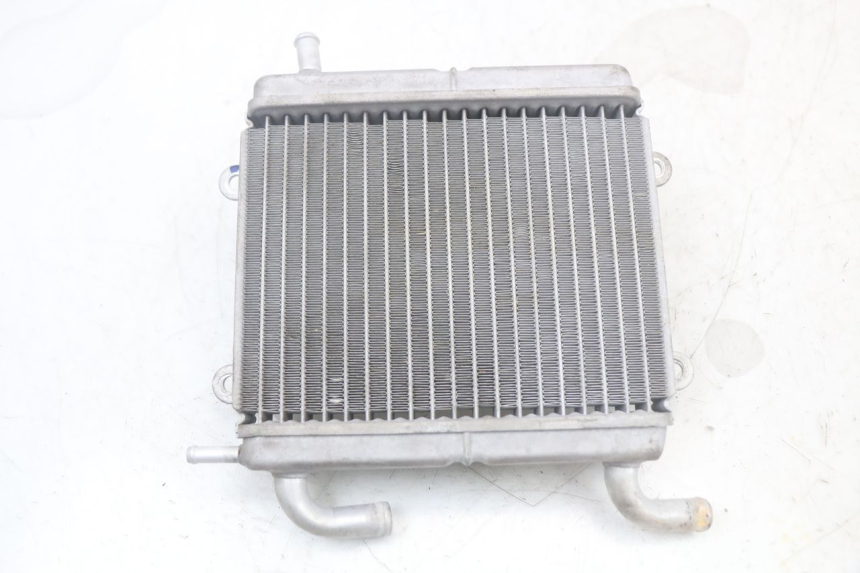 photo de RADIATORE YAMAHA AEROX 2T 50 (2013 - 2017)