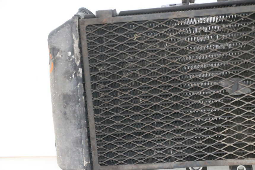 photo de RADIATORE YAMAHA FZS FAZER 600 (2001 - 2003)
