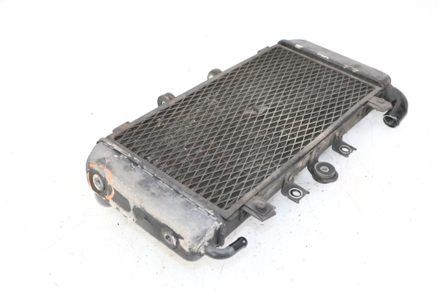 photo de RADIATORE YAMAHA FZS FAZER 600 (2001 - 2003)