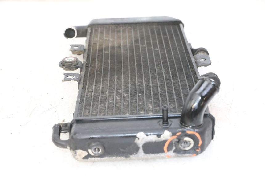 photo de RADIATORE YAMAHA FZS FAZER 600 (2001 - 2003)