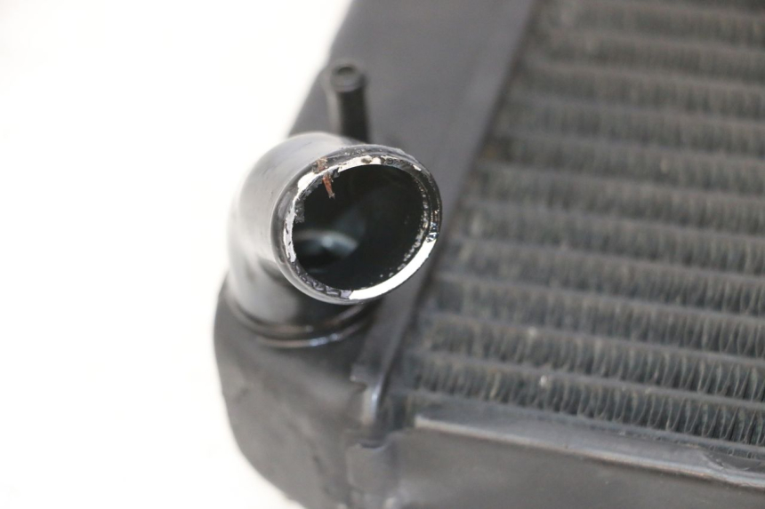 photo de RADIATORE YAMAHA FZS FAZER 600 (2001 - 2003)