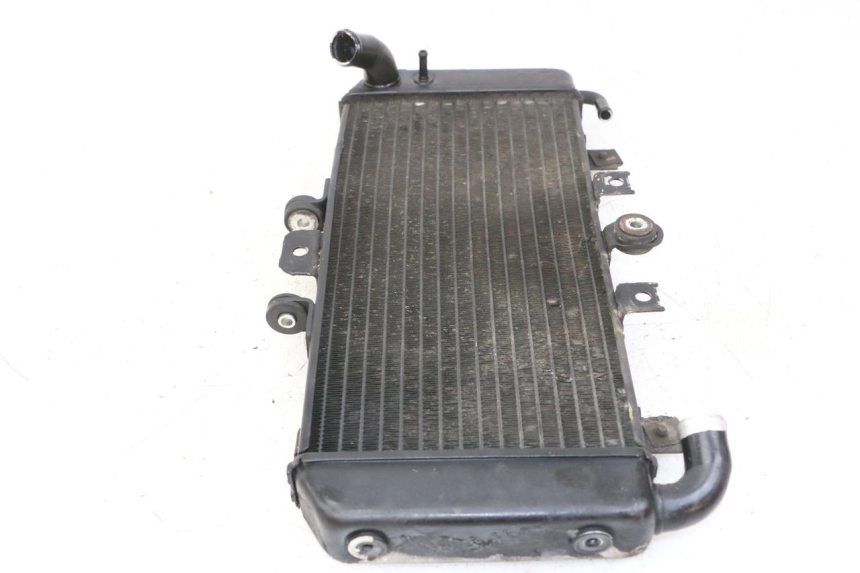 photo de RADIATORE YAMAHA FZS FAZER 600 (2001 - 2003)