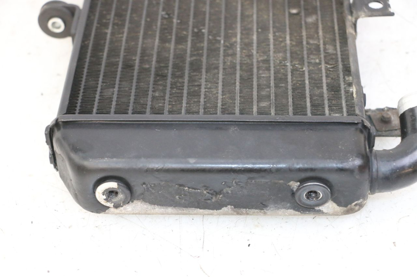 photo de RADIATORE YAMAHA FZS FAZER 600 (2001 - 2003)