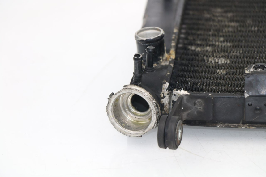 photo de RADIATORE YAMAHA YZF R THUNDERCAT 600 (1999 - 2003)
