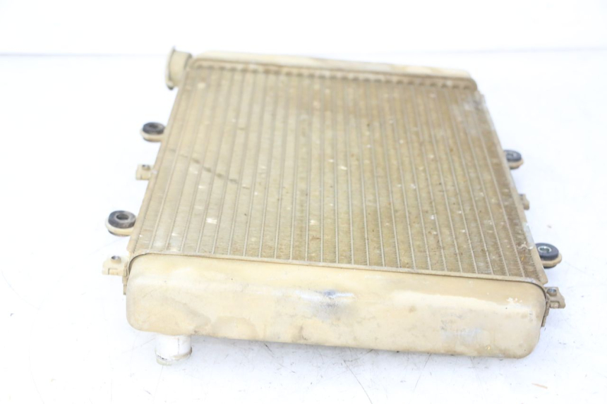 photo de RADIATORE YAMAHA YFM GRIZZLY 550 (2008 - 2015)