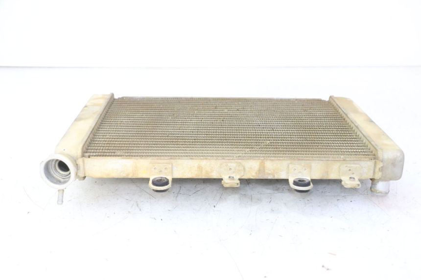 photo de RADIATORE YAMAHA YFM GRIZZLY 550 (2008 - 2015)