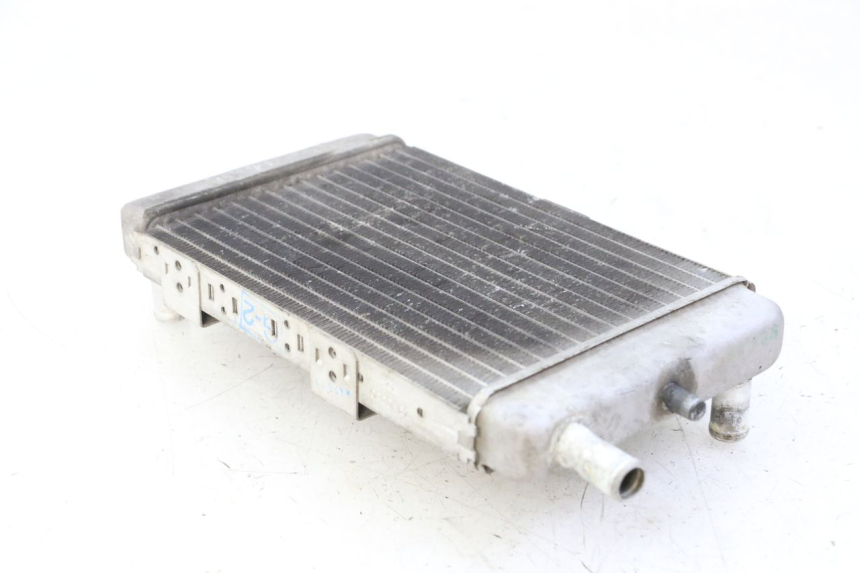 photo de RADIATORE YAMAHA YP MAJESTY 125 (2002 - 2006)