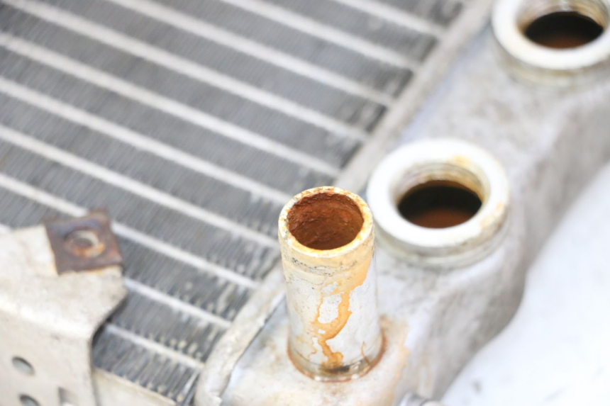 photo de RADIATORE YAMAHA YP MAJESTY 125 (2007 - 2010)