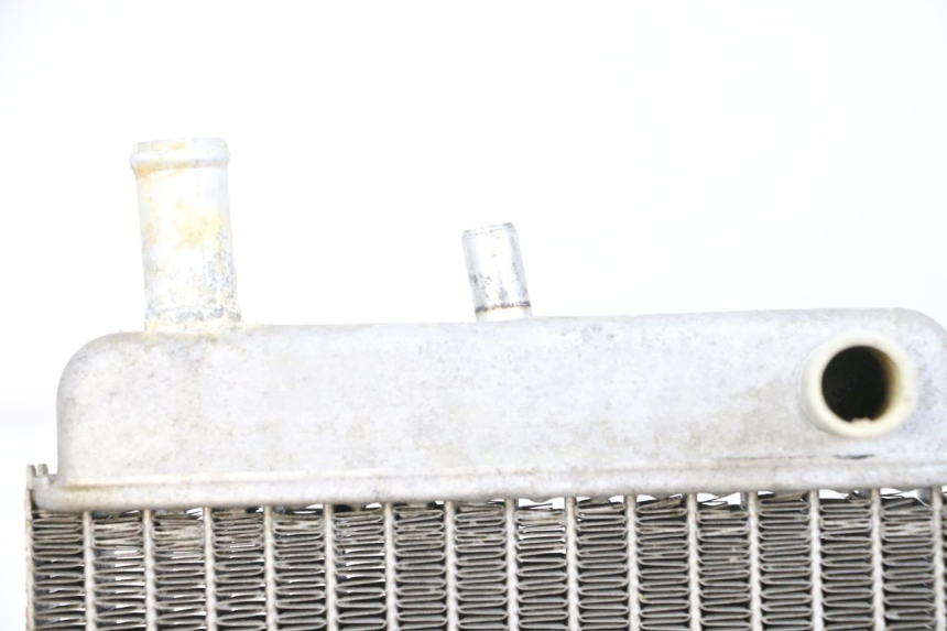 photo de RADIATORE YAMAHA YP MAJESTY 125 (2002 - 2006) - Dettaglio del componente