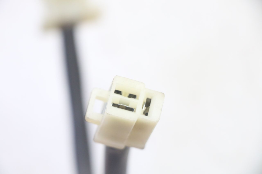 photo de REGOLATORE PEUGEOT TWEET PRO CARGO 50 (2018 - 2020)