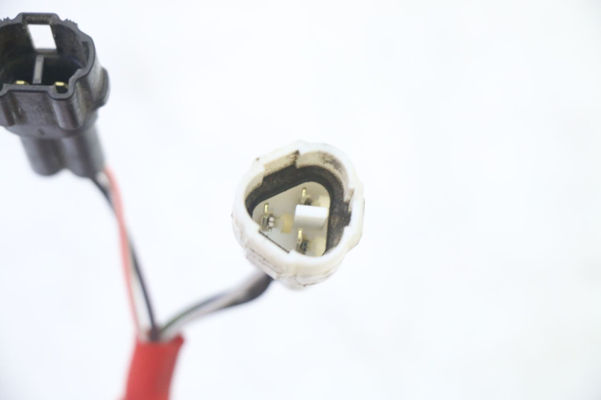 photo de RELE' ELETTRICO YAMAHA PW 50 (1984 - 2020)