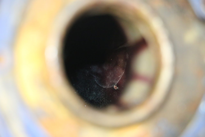 photo de SERBATOIO CARBURANTE  KAWASAKI GPX R WARBIRD 600 (1988 - 1993) - Focus sulla struttura