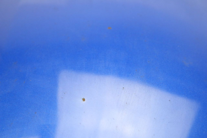 photo de SERBATOIO CARBURANTE  SUZUKI GSF S BANDIT 600 (2000 - 2004)