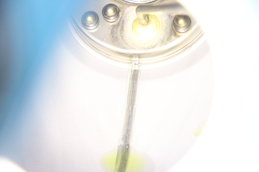 photo de SERBATOIO DELLA BENZINA YAMAHA TDM ABS 900 (2002 - 2014) - Dettaglio del componente