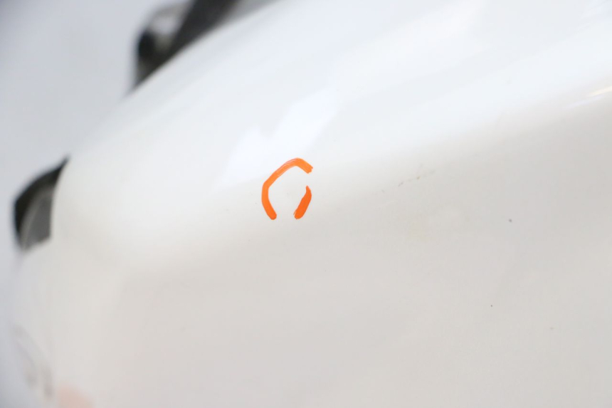photo de SERBATOIO CARBURANTE  YAMAHA FZ1 FAZER 1000 (2007 - 2009)