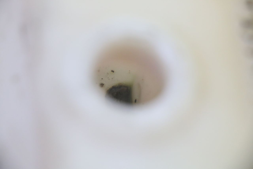 photo de SERBATOIO OLIO MBK BOOSTER SPIRIT 50 (2004 - 2017) - Zoom sullo stato d'uso