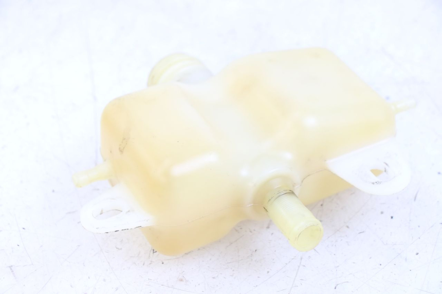 photo de OLIO PEUGEOT GEOPOLIS RS 125 (2007 - 2009)