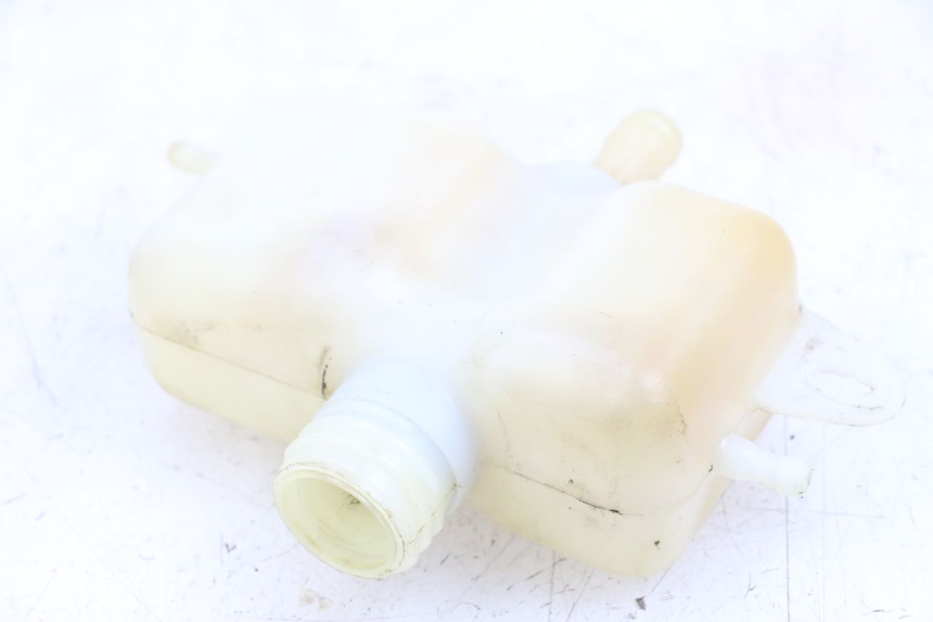 photo de OLIO PEUGEOT GEOPOLIS RS 125 (2007 - 2009)